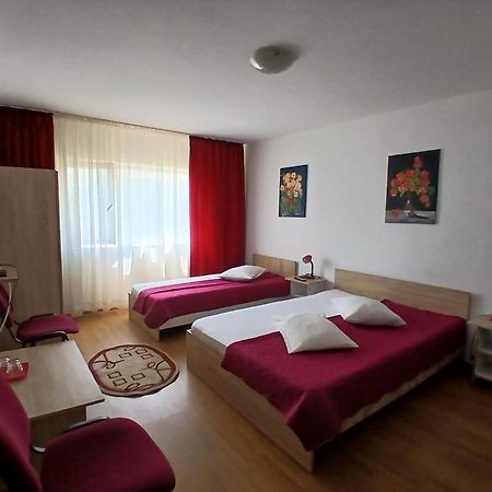 Casa Rustica Apart & Rooms Cîmpineanca エクステリア 写真