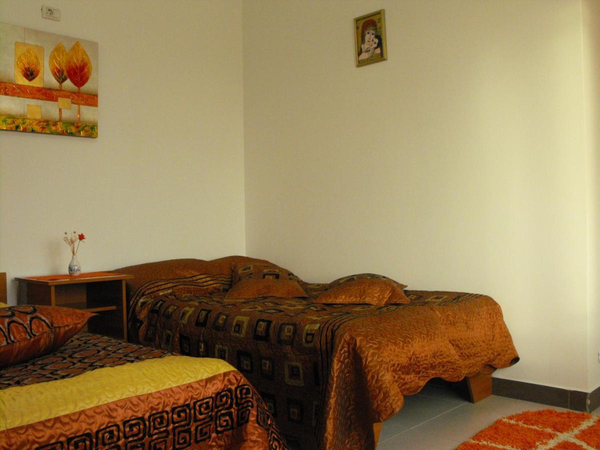 Casa Rustica Apart & Rooms Cîmpineanca エクステリア 写真