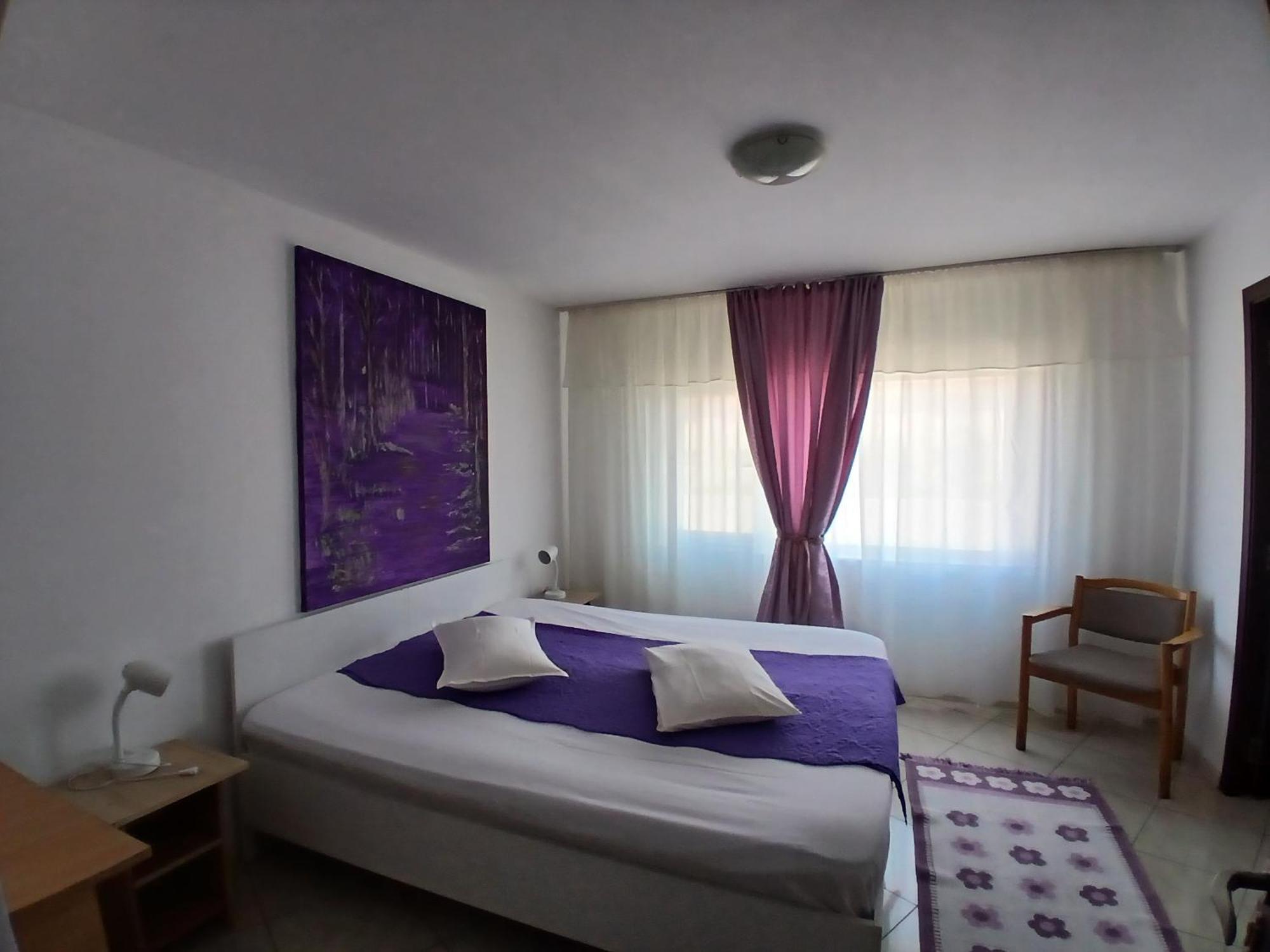 Casa Rustica Apart & Rooms Cîmpineanca エクステリア 写真