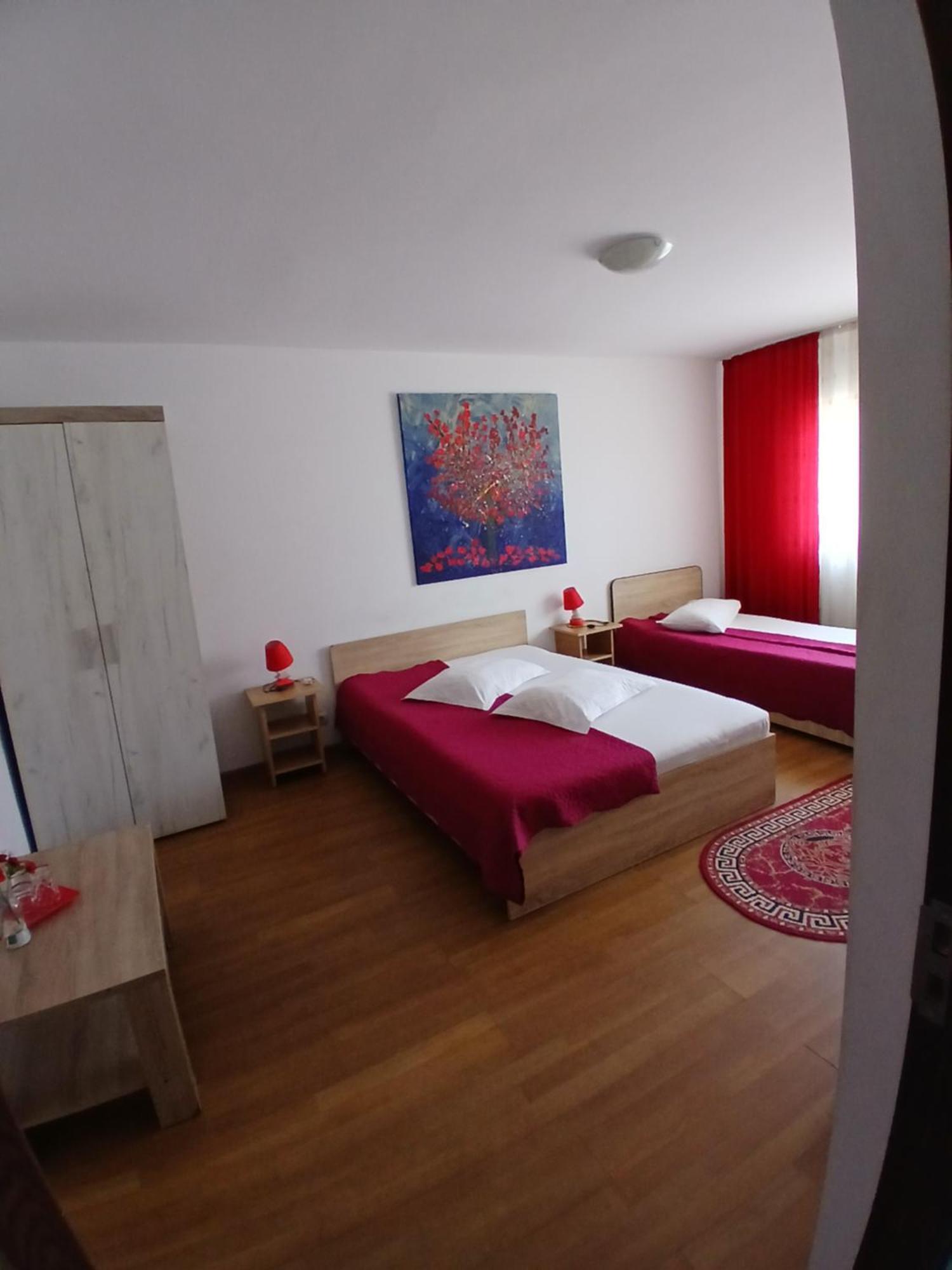 Casa Rustica Apart & Rooms Cîmpineanca エクステリア 写真
