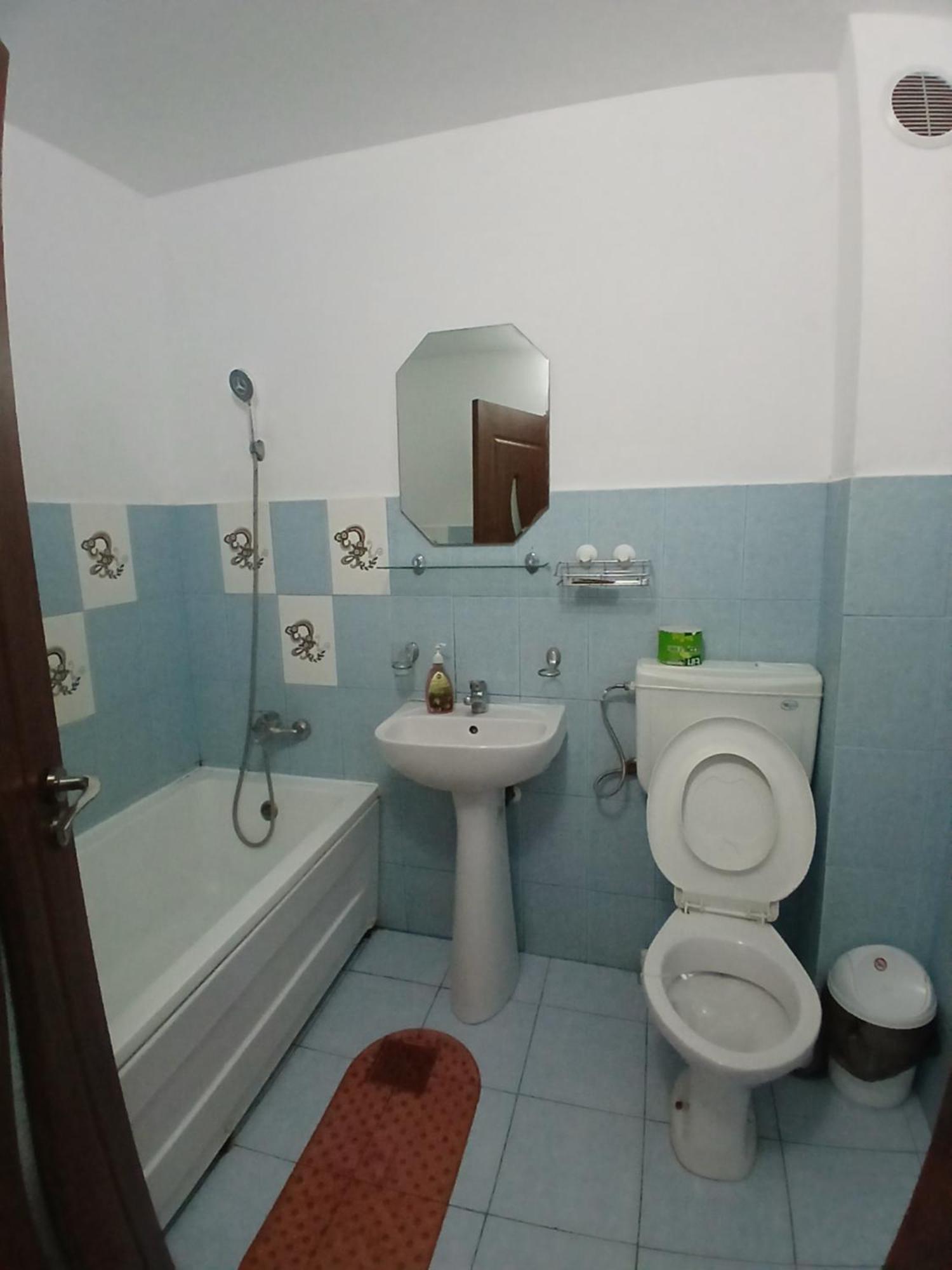 Casa Rustica Apart & Rooms Cîmpineanca エクステリア 写真