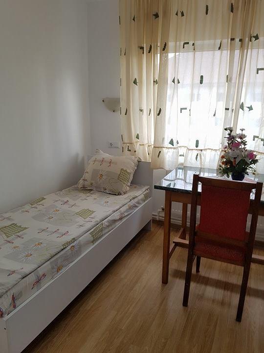 Casa Rustica Apart & Rooms Cîmpineanca エクステリア 写真