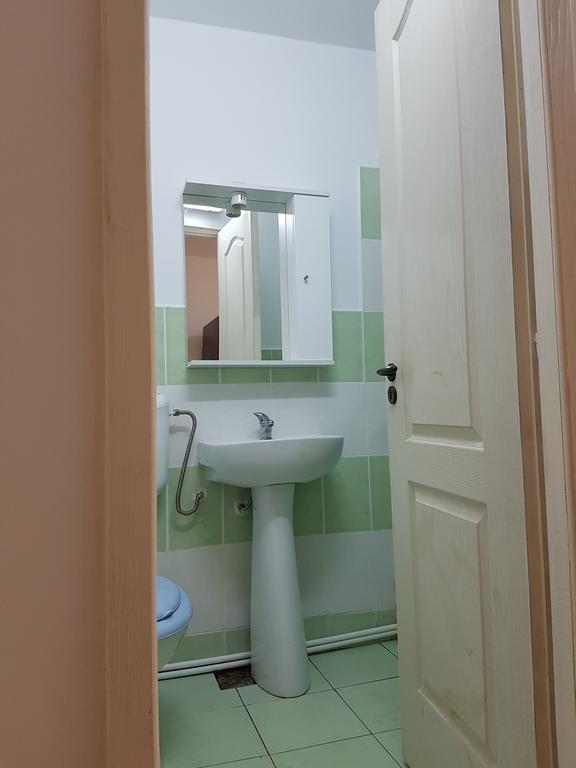 Casa Rustica Apart & Rooms Cîmpineanca エクステリア 写真