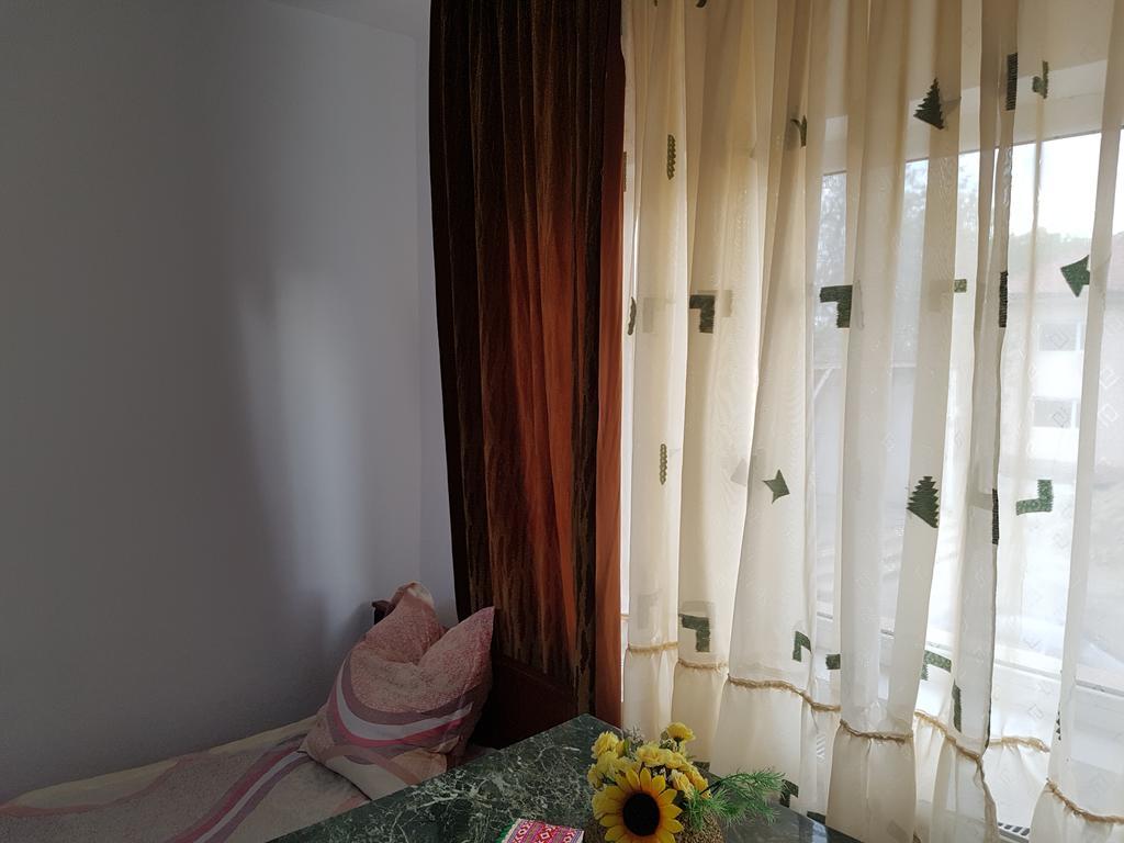 Casa Rustica Apart & Rooms Cîmpineanca エクステリア 写真