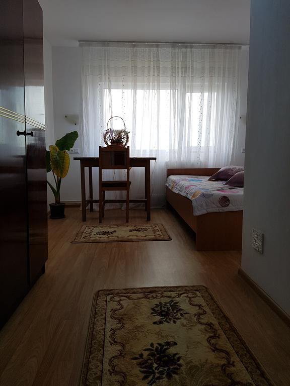 Casa Rustica Apart & Rooms Cîmpineanca エクステリア 写真