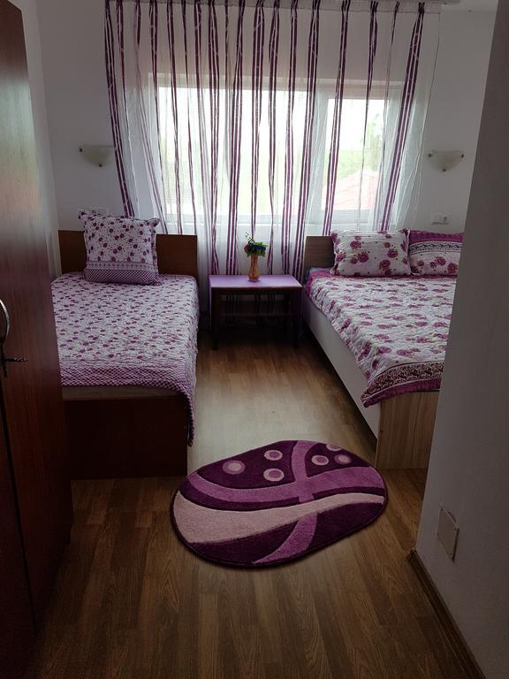 Casa Rustica Apart & Rooms Cîmpineanca エクステリア 写真