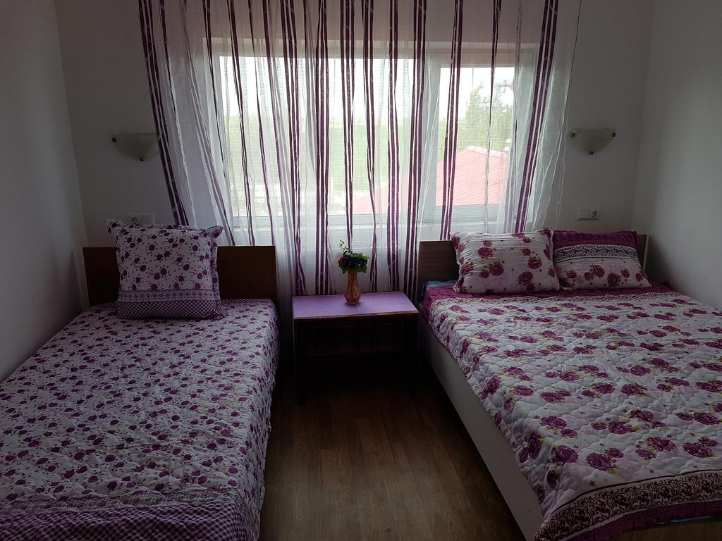 Casa Rustica Apart & Rooms Cîmpineanca エクステリア 写真