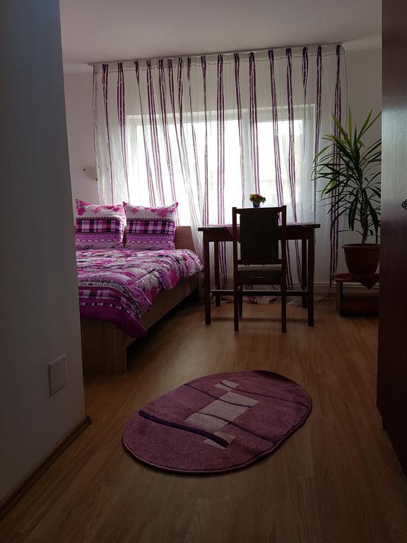 Casa Rustica Apart & Rooms Cîmpineanca エクステリア 写真