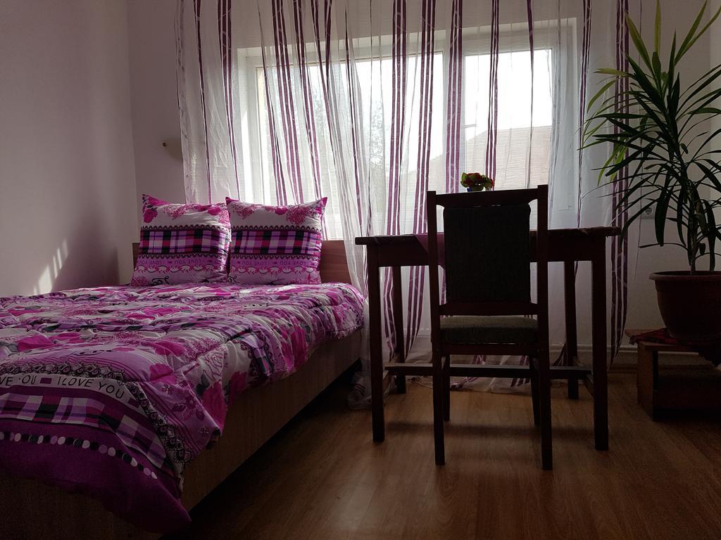 Casa Rustica Apart & Rooms Cîmpineanca エクステリア 写真