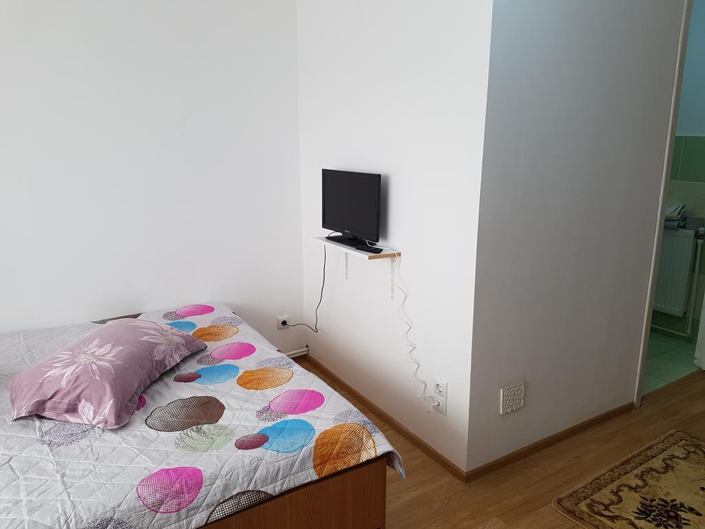 Casa Rustica Apart & Rooms Cîmpineanca エクステリア 写真
