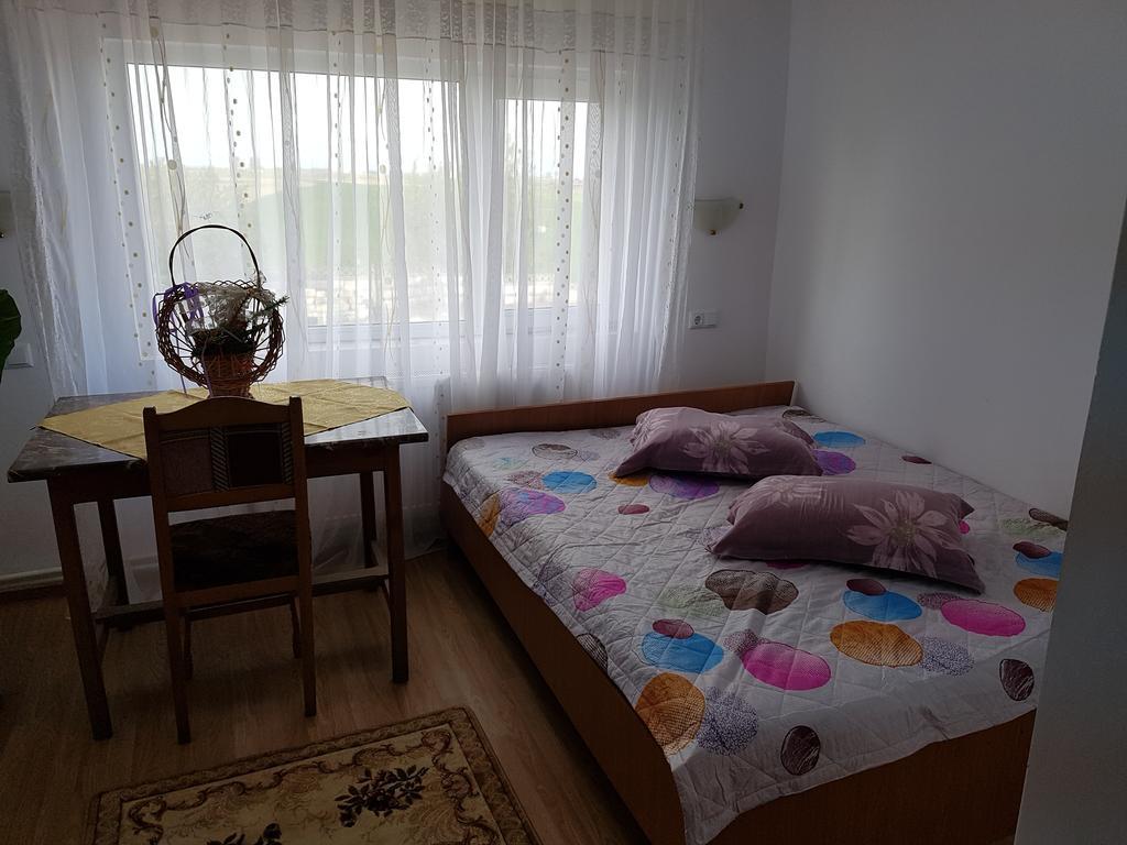 Casa Rustica Apart & Rooms Cîmpineanca エクステリア 写真