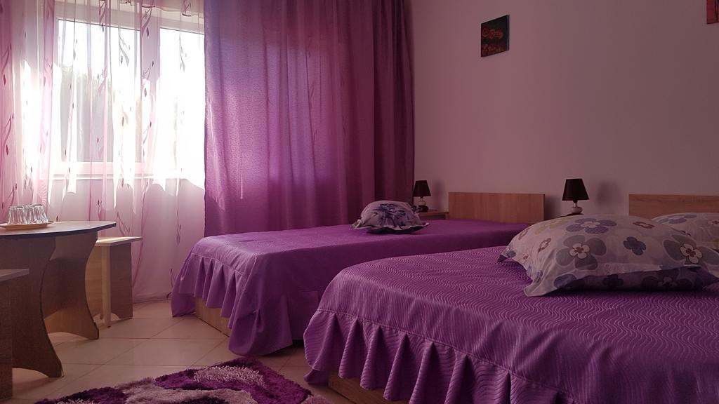 Casa Rustica Apart & Rooms Cîmpineanca エクステリア 写真
