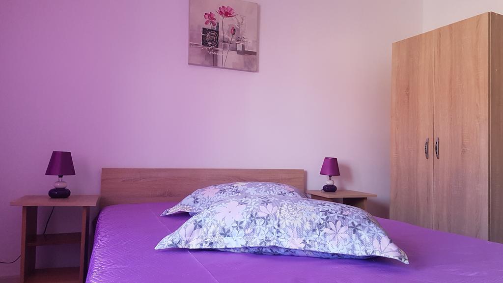 Casa Rustica Apart & Rooms Cîmpineanca エクステリア 写真