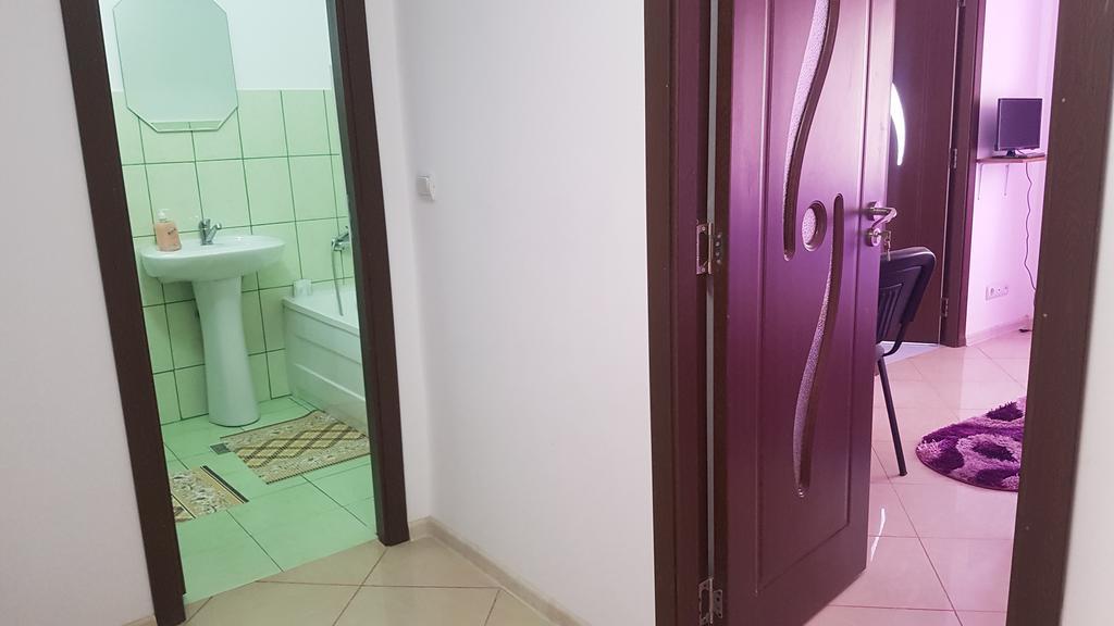 Casa Rustica Apart & Rooms Cîmpineanca エクステリア 写真