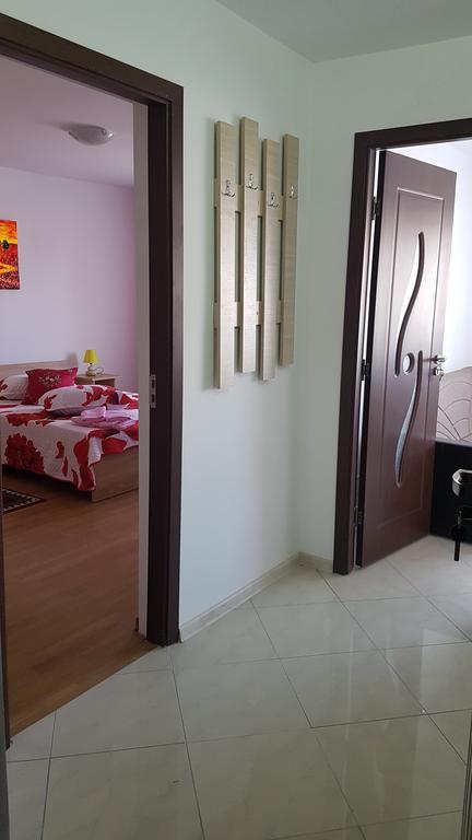 Casa Rustica Apart & Rooms Cîmpineanca エクステリア 写真