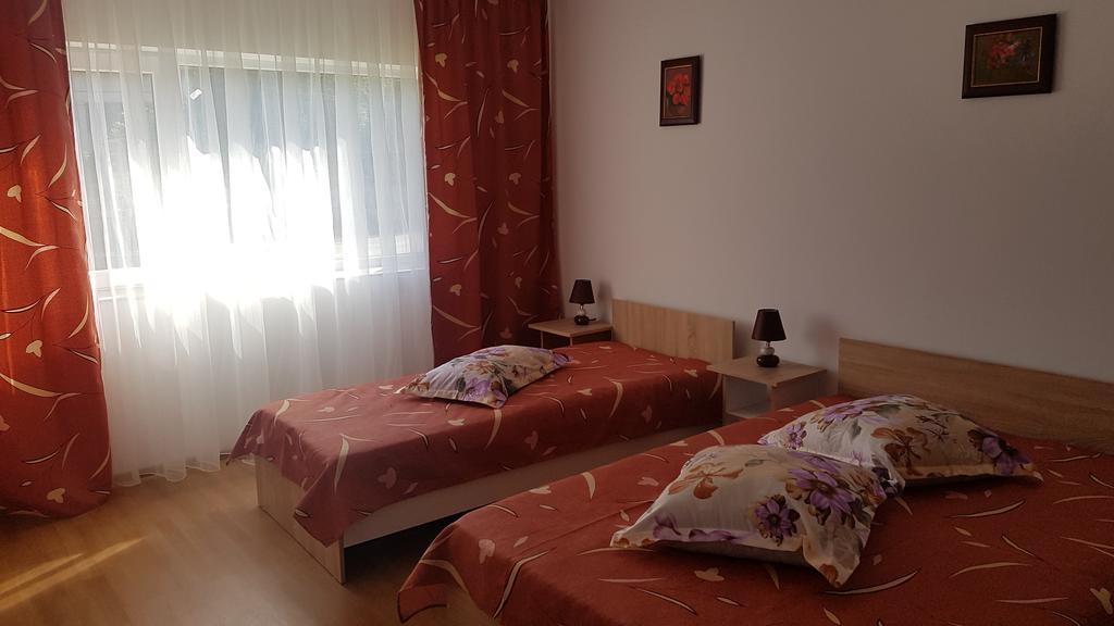 Casa Rustica Apart & Rooms Cîmpineanca エクステリア 写真