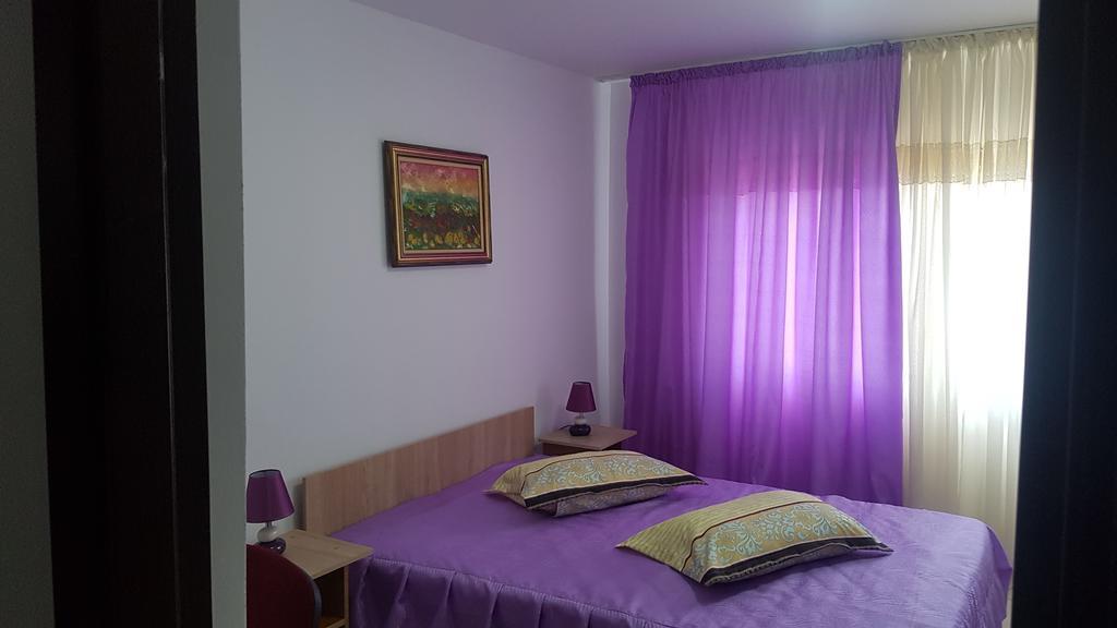 Casa Rustica Apart & Rooms Cîmpineanca エクステリア 写真