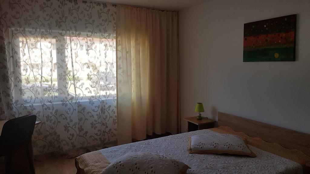 Casa Rustica Apart & Rooms Cîmpineanca エクステリア 写真