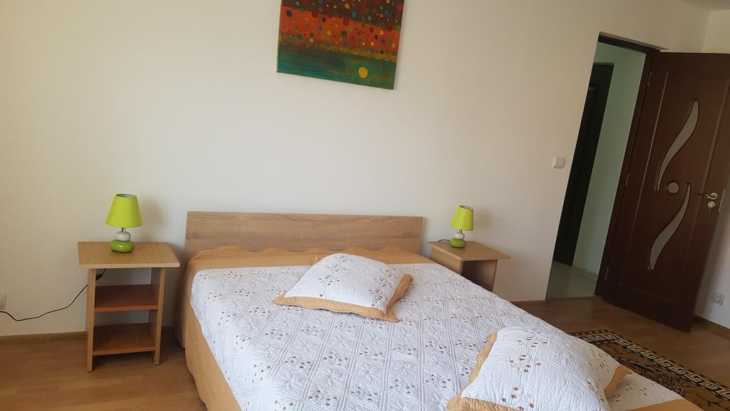 Casa Rustica Apart & Rooms Cîmpineanca エクステリア 写真