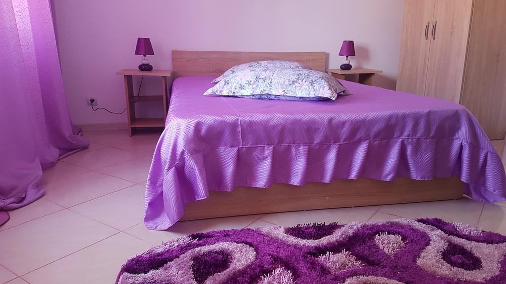 Casa Rustica Apart & Rooms Cîmpineanca エクステリア 写真